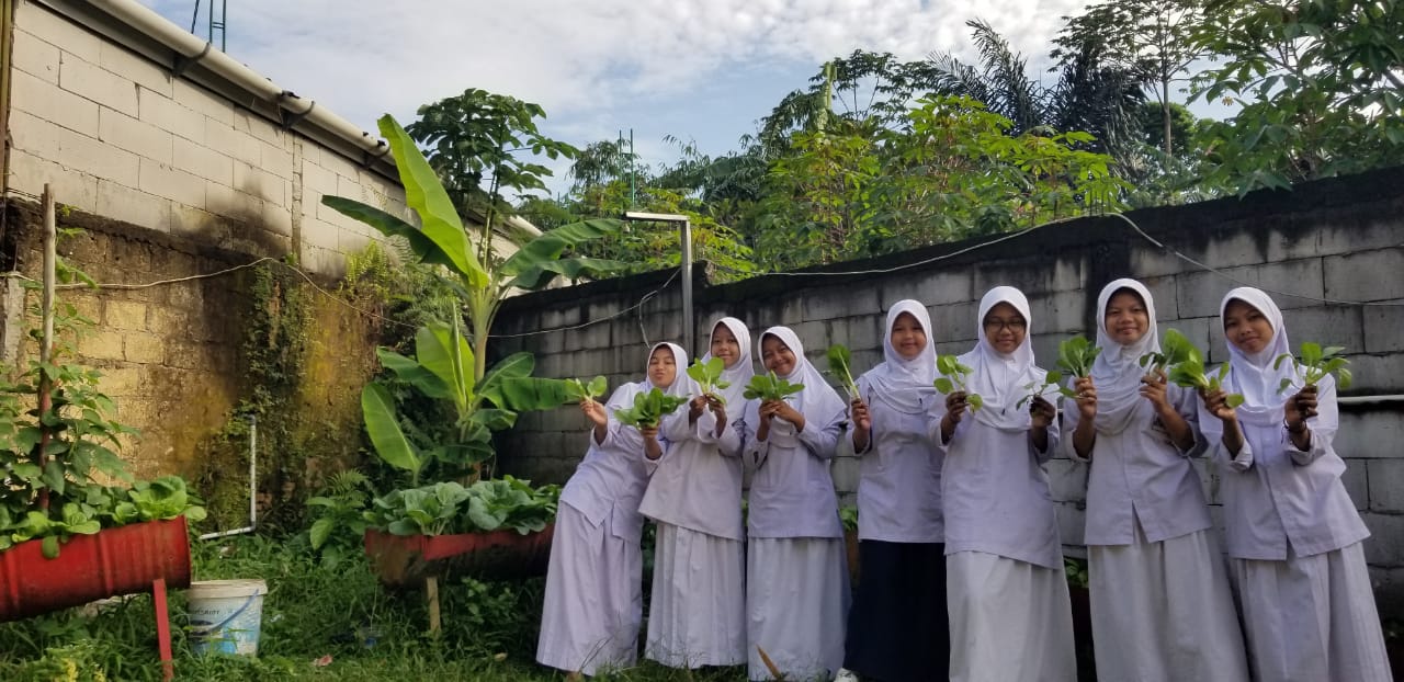 Pertanian Sayuran di SMP IT Al-Madinah: Menerapkan Pembelajaran Esensial Plus
