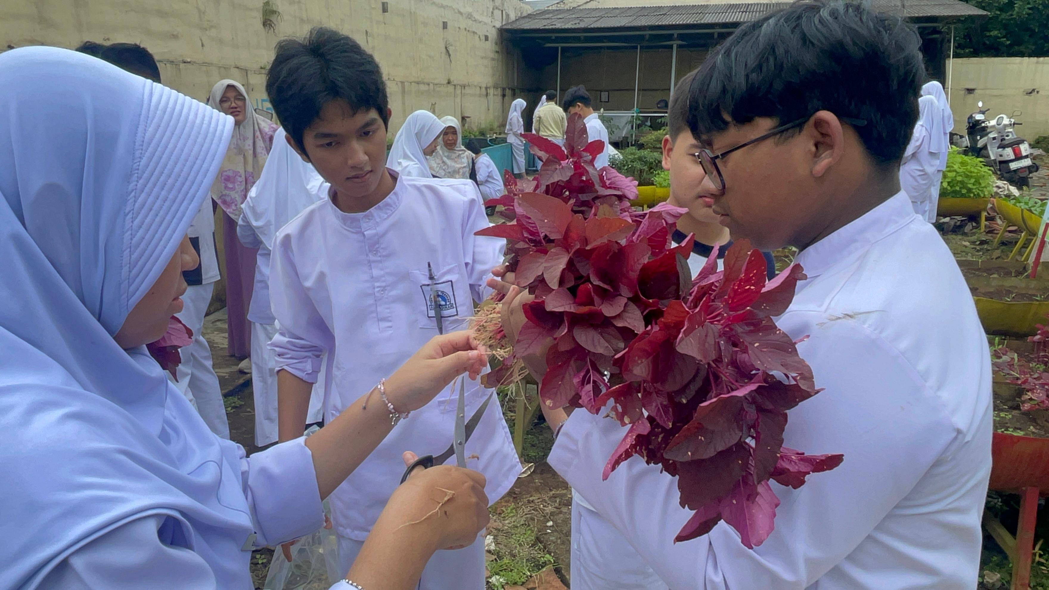 Kegiatan Panen Tanaman Pertanian