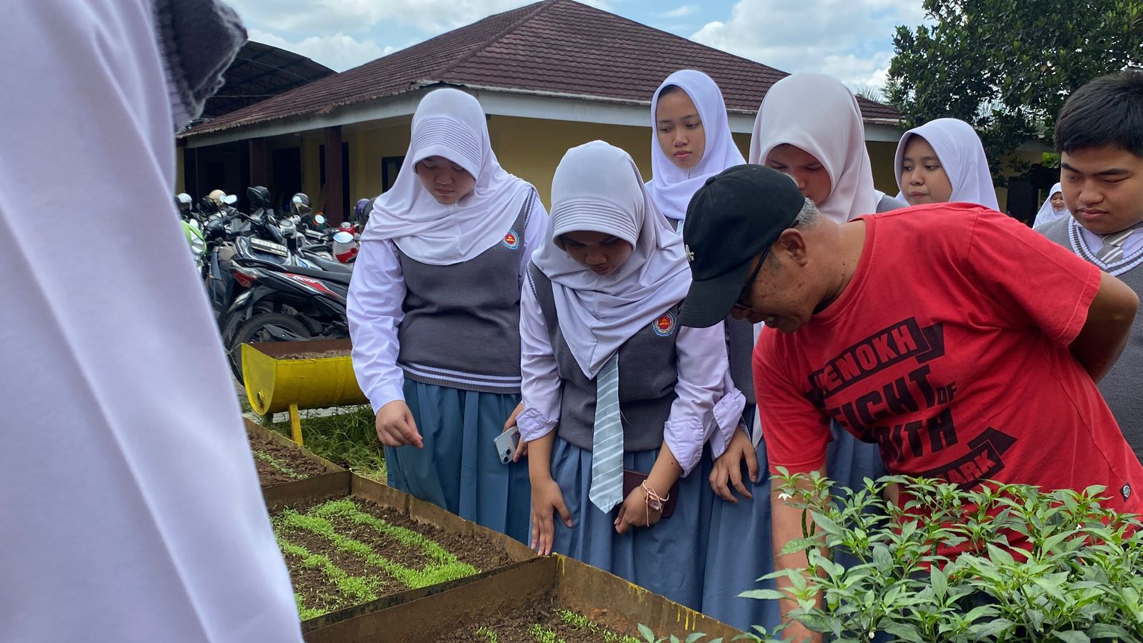 Pembibitan Tanaman Pertanian